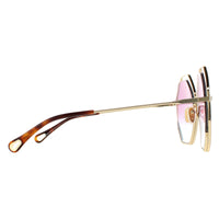 Chloe Sunglasses CH0046S 003 Havana Gold Violet Blue Gradient