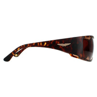 Police Sunglasses SPLB46 Origins 40 0738 Havana Brown