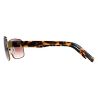 Duck and Cover Sunglasses DCS012 C1 Brown Brown Gradient