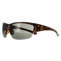 Smarty Sunglasses X2036 C Demi Brown Tortoise Green