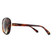 Polaroid Sunglasses PLD 4097/S 086 LA Havana Brown Gradient Polarized