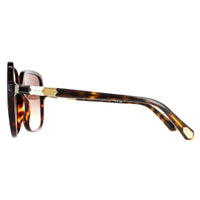 Bvlgari Sunglasses BV8228B 504/13 Havana Dark Brown Gradient