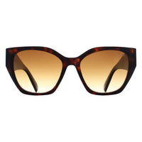 Atum Cat Eye Womens Brown Tortoise Brown Gradient Zenith Sunglasses