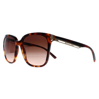 Bvlgari Sunglasses BV8245 551513 Havana Brown Gradient