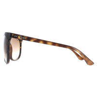 Rayban Sunglasses Cats 1000 4126 Havana Brown Gradient