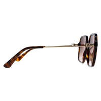 Dolce & Gabbana Sunglasses DG4422 502/13 Havana Brown Gradient