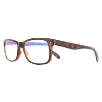 Polaroid Glasses Readers 0023/R 086 Havana +2.5 Blue Light Block