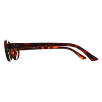 Atum Oval Womens Brown Tortoise Gold Brown Noctis Sunglasses