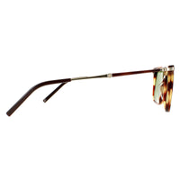 Salvatore Ferragamo Sunglasses SF966S 216 Striped Brown Solid Green