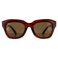 Smarty Sunglasses SB2311 B Demi Transparent Brown Brown