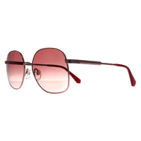 Ted Baker Sunglasses TB1687 Cyndi 466 Shiny Rose Gold Pink Gradient