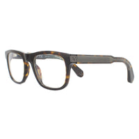 Police Sunglasses Lewis 15 SPLB31 0722 Shiny Havana Clear