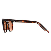 Serengeti Sunglasses Arlie 8937 Shiny Dark Havana Mineral Polarized Drivers