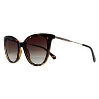 Polaroid Sunglasses PLD 4184/S/X 086 LA Havana Brown Gradient Polarized
