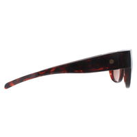Smarty Sunglasses SA220 0A Brown Tortoise Brown
