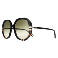 Chloe Sunglasses CH0105S 002 Shiny Black and Tortoise Green Gradient