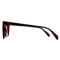 Polaroid Sunglasses PLD 4081/S 086 LA Havana Brown Gradient Polarized