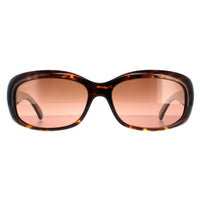 Serengeti Sunglasses Bianca 8978 Shiny Tortoise Drivers Gradient Polarized Brown