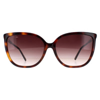 Lacoste Sunglasses L963S 230 Havana Brown Gradient