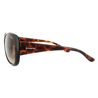 Polaroid Sunglasses P8317 0BM LA Havana Brown Gradient Polarized