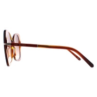 Ted Baker Sunglasses TB1668 Aniya 105 Tortoise Brown Gradient