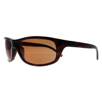 Serengeti Sunglasses Bormio 8166 Matte Dark Tortoise PhD 2.0 Polarized Drivers Brown
