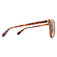 Polaroid Sunglasses 6099/S 086 LA Dark Havana Brown Gradient Polarized