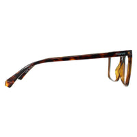 Polaroid Glasses Frames PLD D499 086 Havana Men