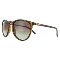Polaroid Sunglasses PLD 6003/N/S V08 LA Havana Brown Gradient Polarized