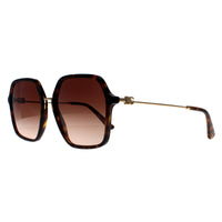 Dolce & Gabbana Sunglasses DG4422 502/13 Havana Brown Gradient