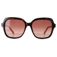 Karen Millen Sunglasses KM5048 102 Dark Tortoise Brown Gradient