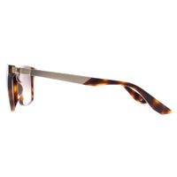 BMW Sunglasses BW0002-H 53B Blonde Havana Smoke Gradient