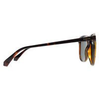 Polaroid Sunglasses PLD 4178/S 086 UC Havana Green Polarized