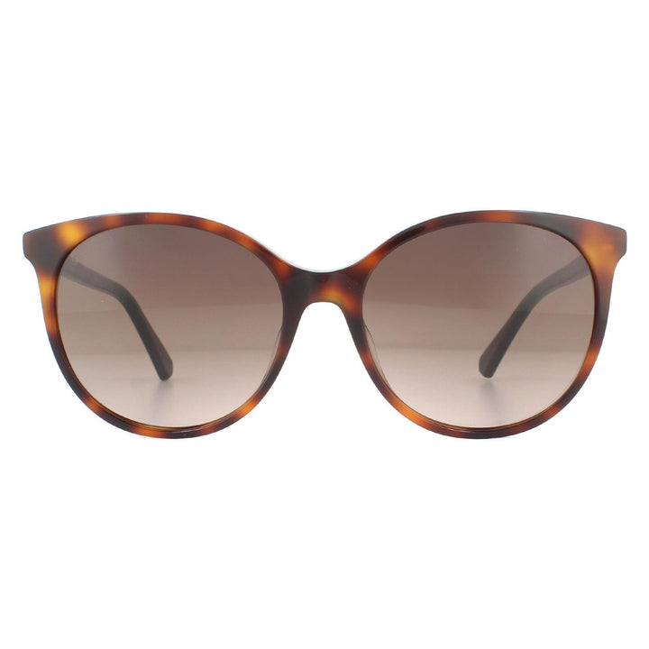 Swarovski Sunglasses SK0223 52F Dark Havana Brown Gradient