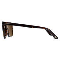 Tom Ford Sunglasses FT0832 52J Dark Havana Roviex Brown