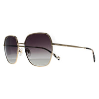 Polar Sunglasses Gold 310 COL.02/F Gold Purple Gradient