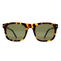 Serengeti Sunglasses Charlton SS576005 Shiny Havana Mineral Polarized 555nm Photochromic