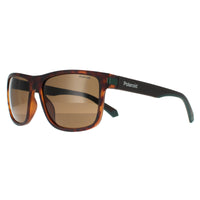Polaroid Sunglasses PLD 2123/S PHW SP Havana Green Brown Polarized