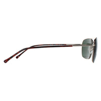 Smarty Sunglasses SB1302 A Gold Green