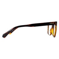 Polaroid Glasses Frames PLD D511 086 Havana Women