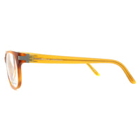 Porsche Design Glasses Frames P8250 D Light Havana
