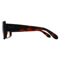 Ray-Ban Sunglasses RB4389 710/51 Havana Brown Gradient