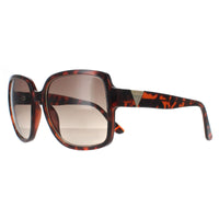 Guess Sunglasses GF6180 52F Dark Havana Brown Gradient