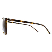 Ray-Ban Sunglasses RB4387 710/73 Tortoiseshell Brown