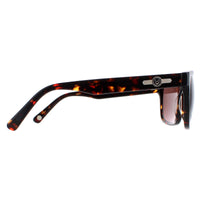 Duck and Cover Sunglasses DCS026 C2 Havana Brown