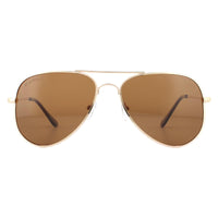 Montana Sunglasses MP94 B Matte Gold Brown Polarized