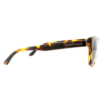 Giorgio Armani Sunglasses AR8067 509253 Havana Brown