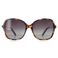 INVU Sunglasses B2133 B Demi Tortoise Brown Brown Polarized