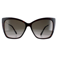 Jimmy Choo Sunglasses Seba/S 086/HA Dark Havana Brown Gradient