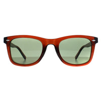 Calvin Klein Sunglasses CK22555S 210 Transparent Brown Green